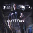 Big City - Welcome to the Inner City