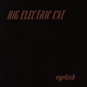 Eyelash