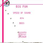 Big Fun - Speed Of Sound / Bees