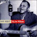 Big Joe Williams - Have Mercy!