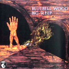 Big Sleep - Bluebell Wood
