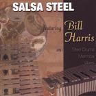 Bill Harris - Salsasteel featuring Bill Harris