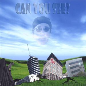 Can You See?