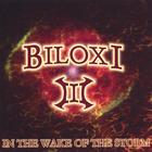Biloxi - In the Wake of the Storm