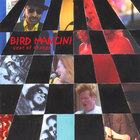 Bird Mancini - Year of Change