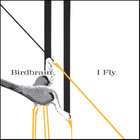Birdbrain - I Fly