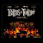 Birds Of Tokyo - The Broken Strings Tour CD2