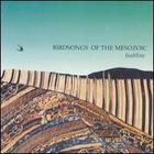 Birdsongs Of The Mesozoic - Faultline
