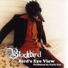 Blackbird - Bird's Eye View