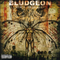 Bludgeon - World Controlled