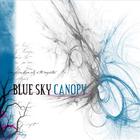 Blue Sky Canopy