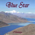 Blue Star - Himalaya