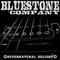 Bluestone Company - Supernatural Delight