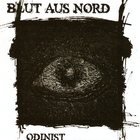 Blut Aus Nord - Odinist - The Destruction Of Reason By Illumination