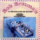 Bob Brozman - A Truckload of Blues