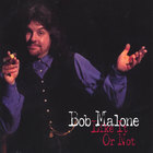 Bob Malone - Like It Or Not