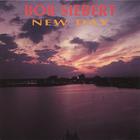 Bob Siebert - New Day