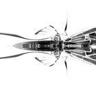Mauver (EP)