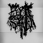 How Beautiful To Walk Free