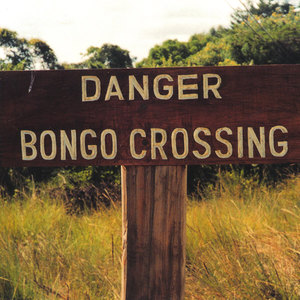 Danger Bongo Crossing