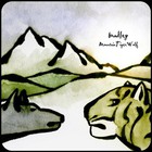 bradley - Mountaintigerwolf