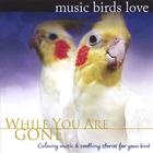 Bradley Joseph - Music Birds Love: While You Are Gone