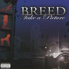 Breed - Take A Picture