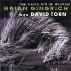 The White Rim Of Heaven (With David Torn)