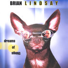 Brian Lindsay - Dreams of Things
