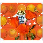 Brian Wilson - That Lucky Old Sun (DVDA)