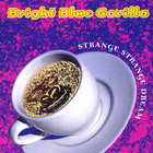 Bright Blue Gorilla - Strange Strange Dream