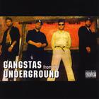 Brothas Most Wanted - Gangstas From The Underground