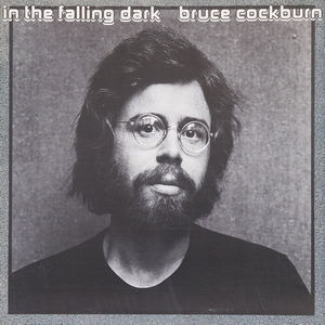 In the Falling Dark (Vinyl)