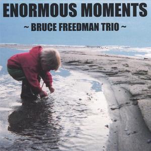 Enormous Moments:Bruce Freedman Trio