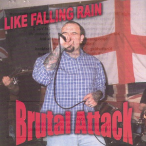 Like Falling Rain (EP)
