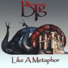 BTG (Bartron Tyler Group) - Like A Metaphor