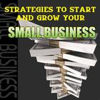 Strategies to Start and Grow Your Small Business