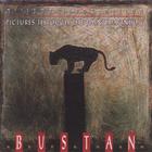 Bustan Abraham - Pictures Through The Painted Window