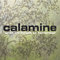 Calamine - What We Forgot To Remember