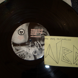 Seismasine-(KCR02)