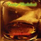 Carolyn Wonderland - Alcohol & Salvation