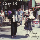 Carp 18 - bug rump