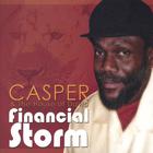 Financial Storm