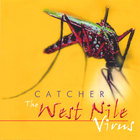 The west nile virus