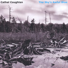 Cathal Coughlan - The Sky's Awful Blue
