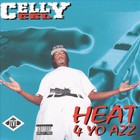 Heat 4 Yo Azz