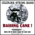 Celtaire String Band - Raising Cane