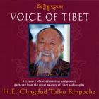 Chagdud Tulku Rinpoche - Voice of Tibet