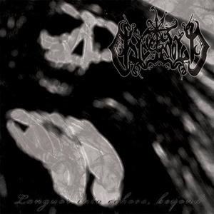 Languor Into Echoes, Beyond