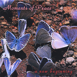 Moments of Peace: A New Beginning